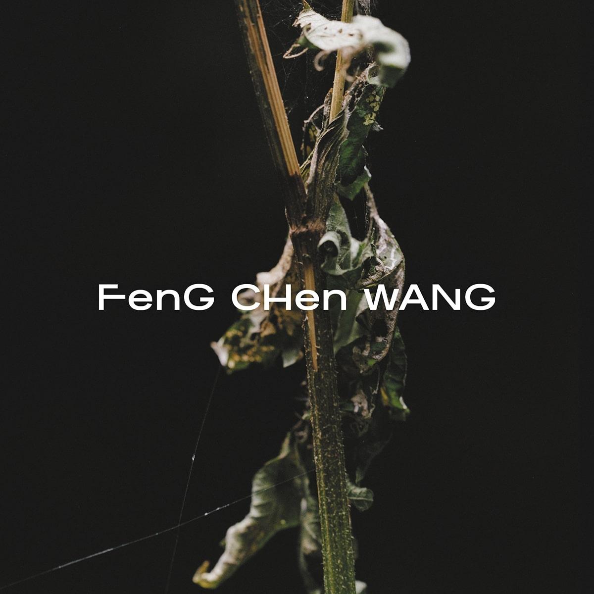 Feng Chen Wang
